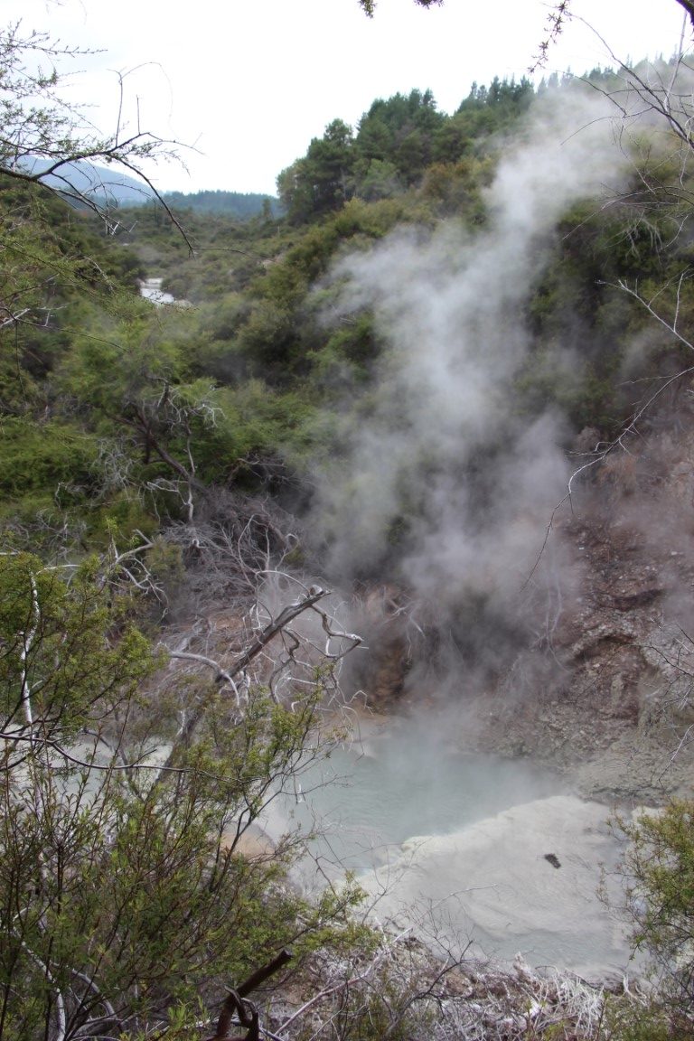 Waiotapu thermal wonderland mud pool fumée