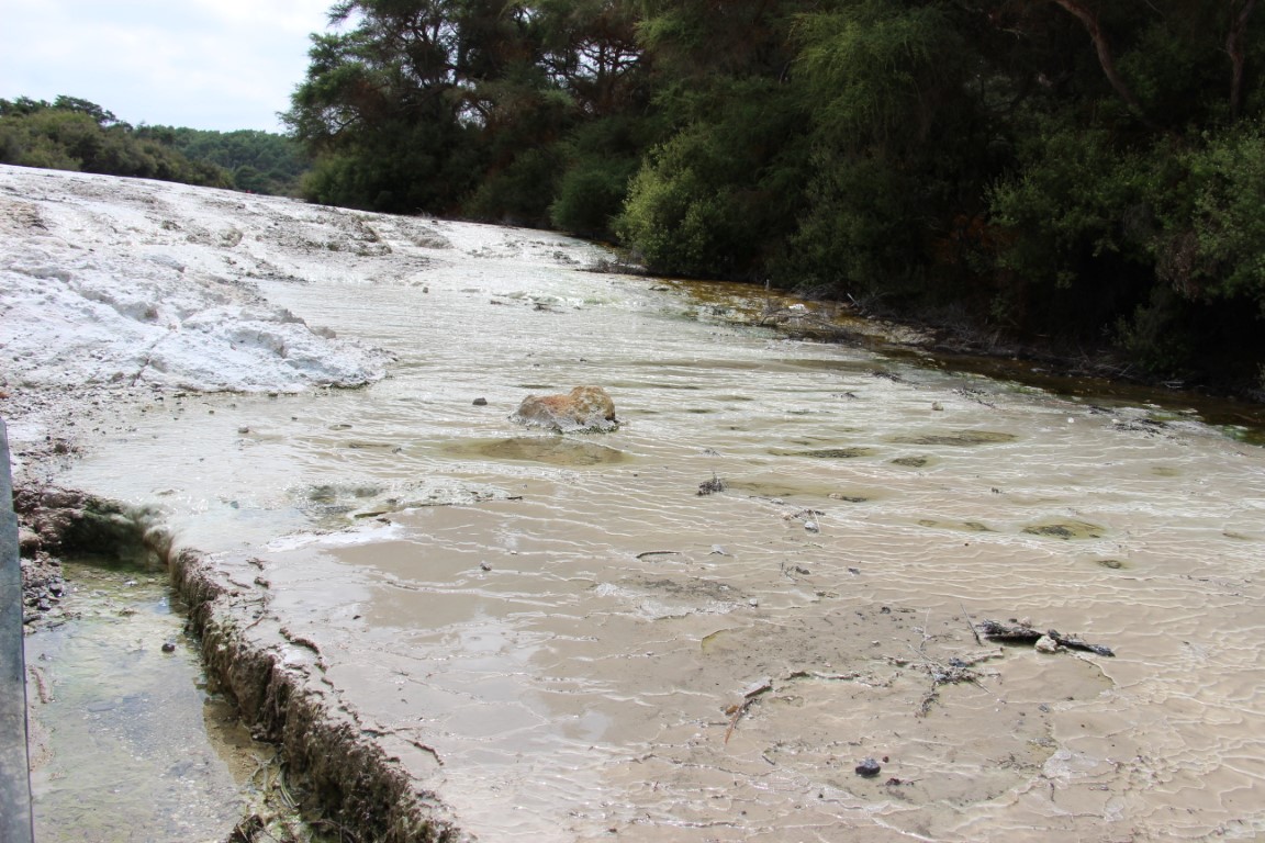 Waiotapu thermal wonderland mud pool coulée