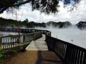 Kuirau park mud pool boue fumante