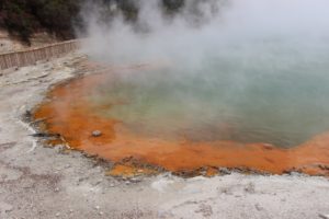 Waiotapu thermal wonderland mud pool fumée lady knox