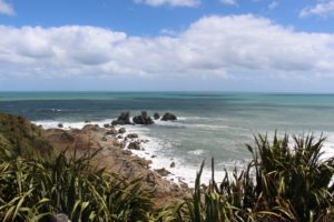 Cape Foulwind Walkway chemin randonnée otaries