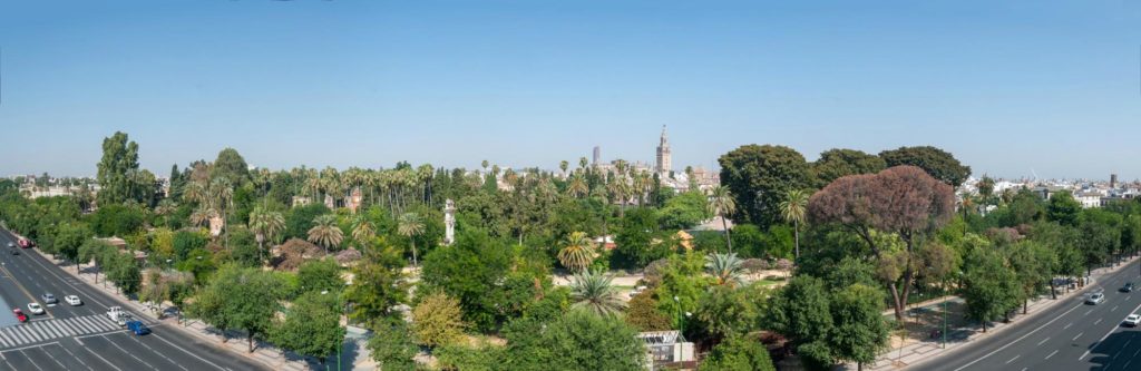 Vue sur la vieille ville hOTEL ALCAZAR SEVILLE