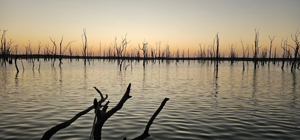Coucher de soleil au lac kariba les arbres pétrifiés