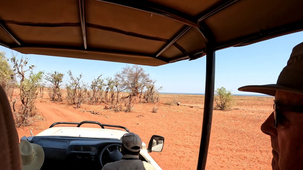 safari au Parc Matusadona Zimbabwe